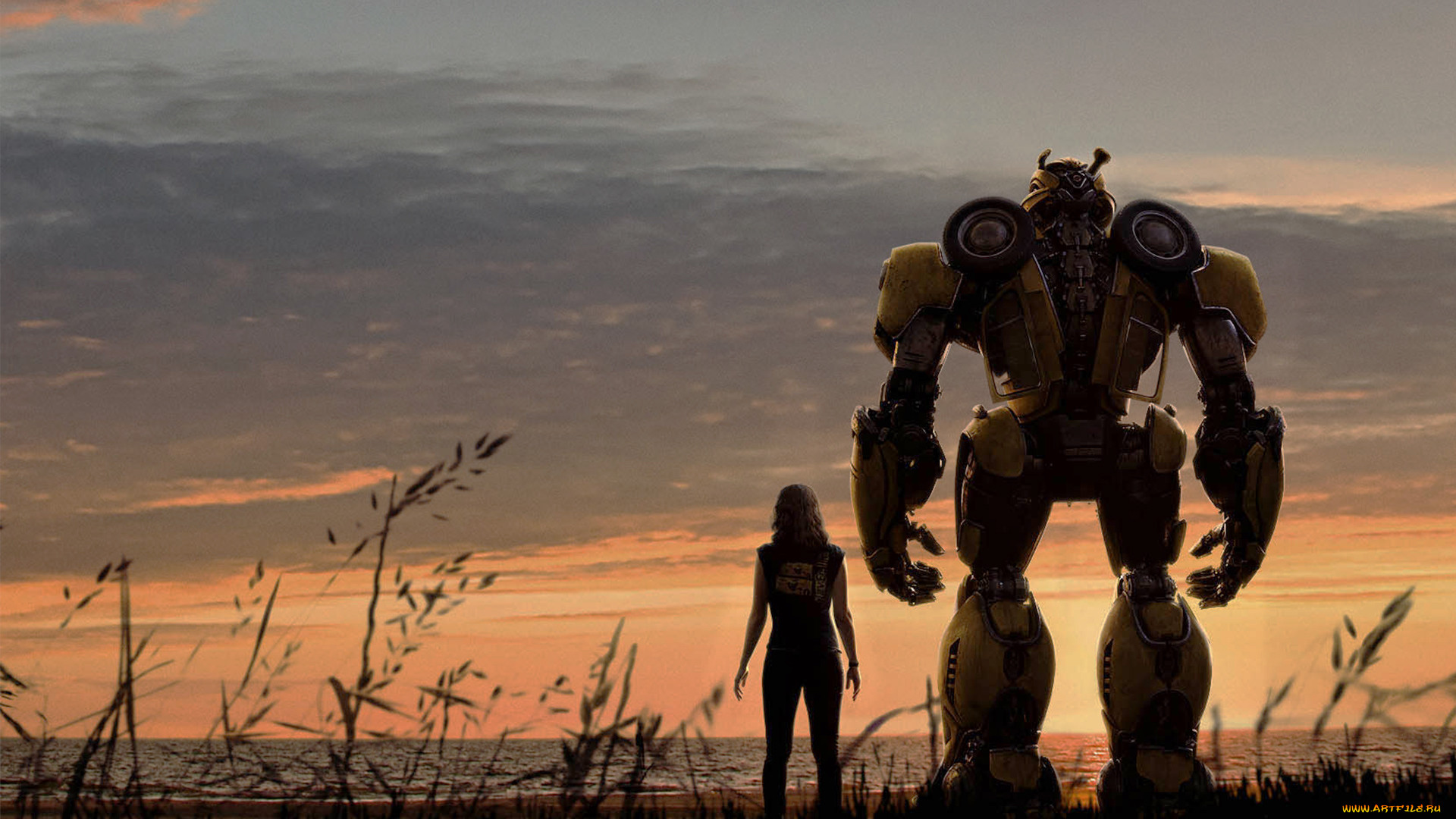 bumblebee , 2018,  , bumblebee, movie, , , , , c